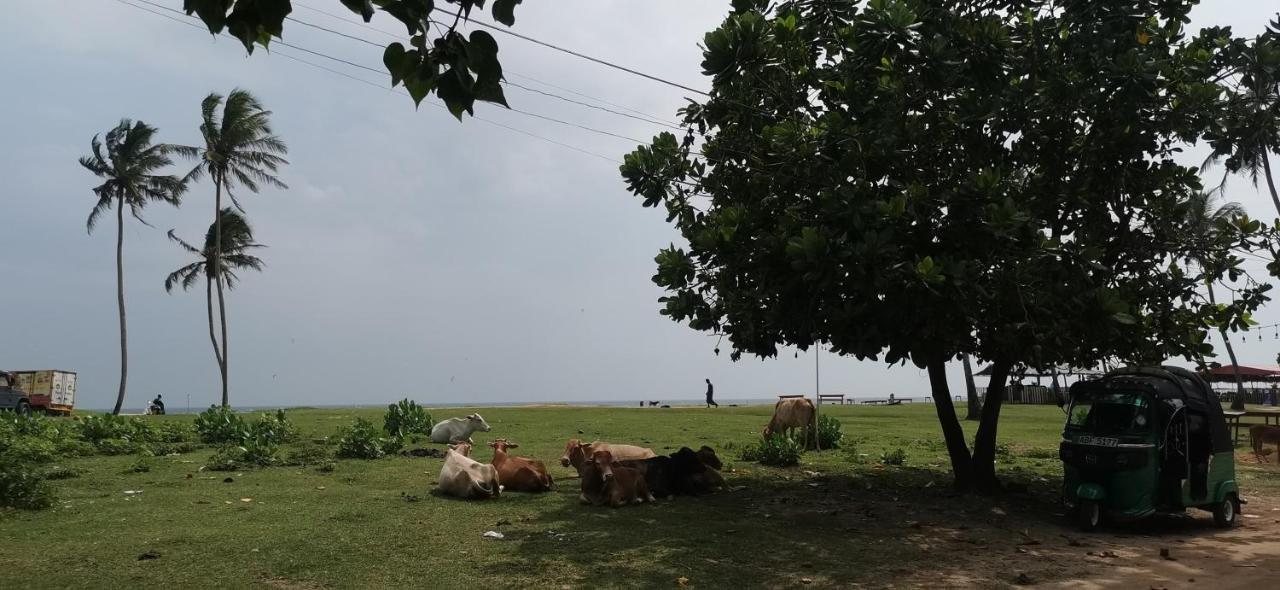 Gunne Fisherman House Weligama Εξωτερικό φωτογραφία